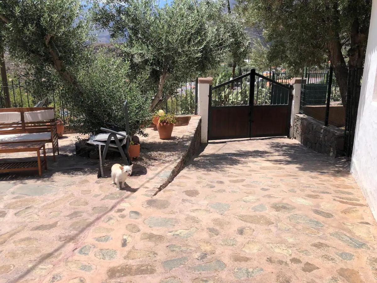 Vila La Casa Vieja De La Montana Santa Lucia Exteriér fotografie